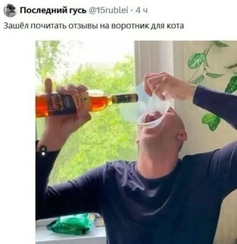 Отзывы на воротник для кота