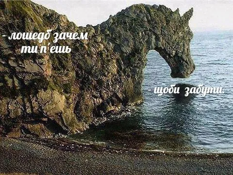Лошадь пьёт, чтобы забыть