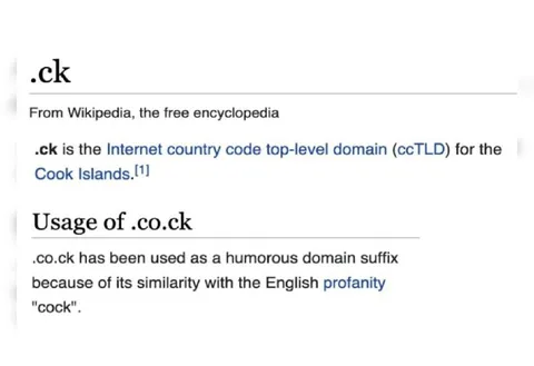The Funny .co.ck Domain