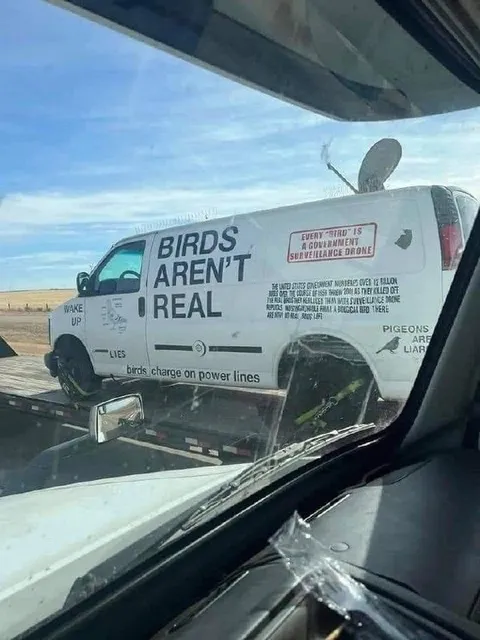 Birds Aren't Real Surveillance Van