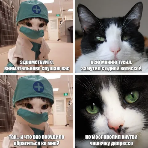 Кот с чашечкой депрессо