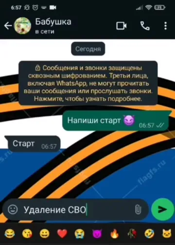 Бабушка пытается удалить СВО