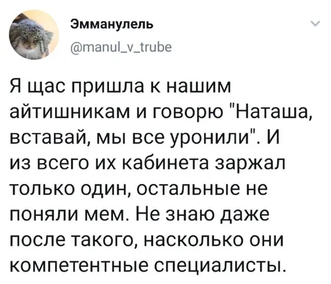 Айтишники не поняли мем