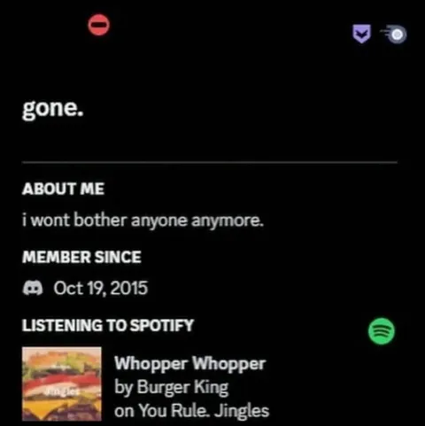 Discord Profile Listening to Whopper Whopper