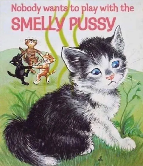 Nobody Wants to Play With the Smelly Pussy