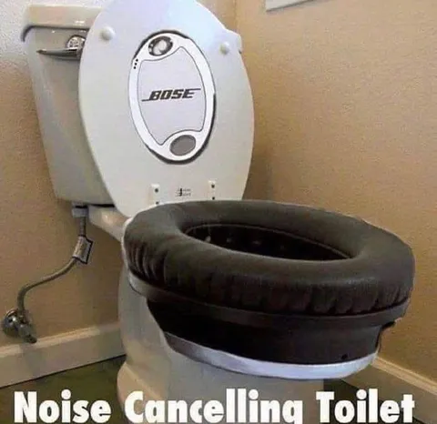 Noise Cancelling Toilet