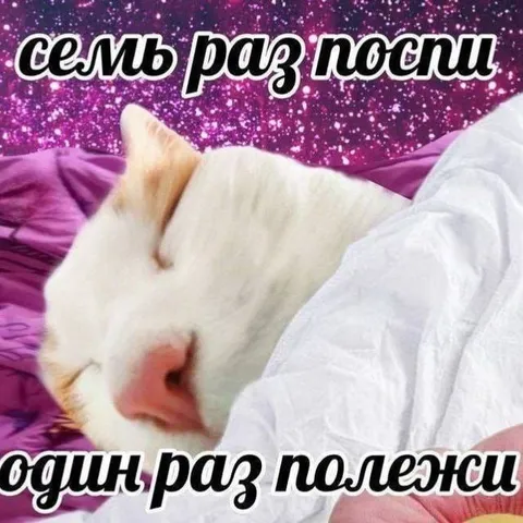 Семь раз поспи, один раз полежи