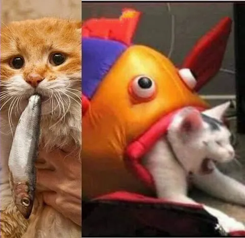 Котёнок держит рыбу и кот в костюме