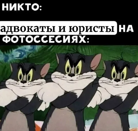 Адвокаты на фотосессиях