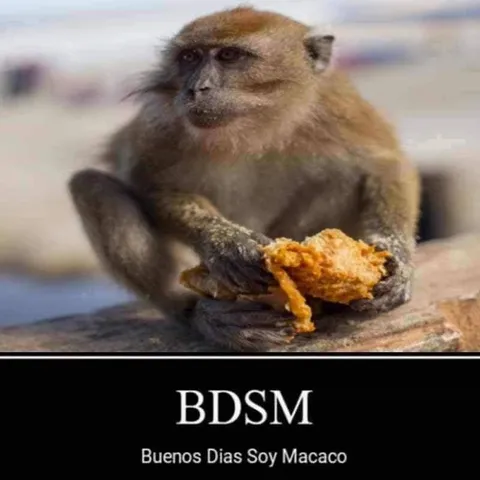 Buenos Días Soy Macaco