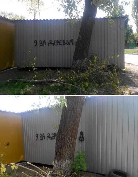 Я за деревом