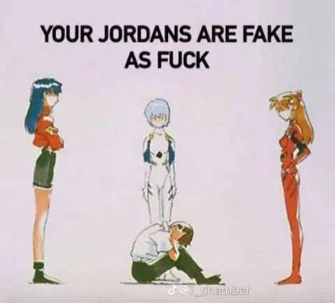 Fake Jordans Roast