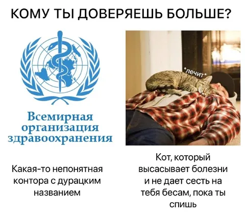 Кому ты доверяешь больше?
