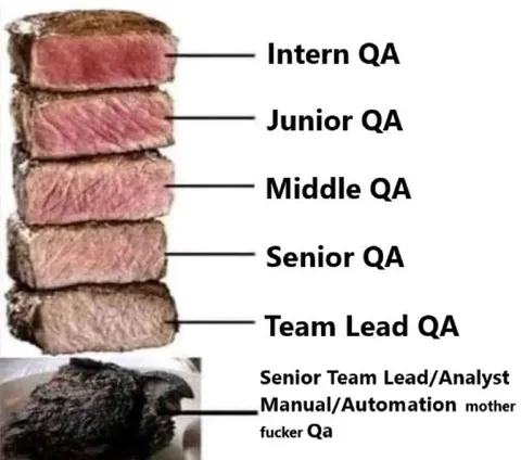 QA Career Steak Progression