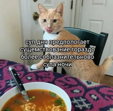 Суп дня и суп ночи