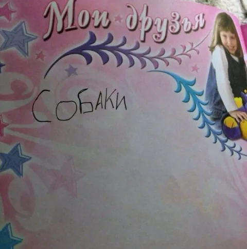 Мои друзья — собаки