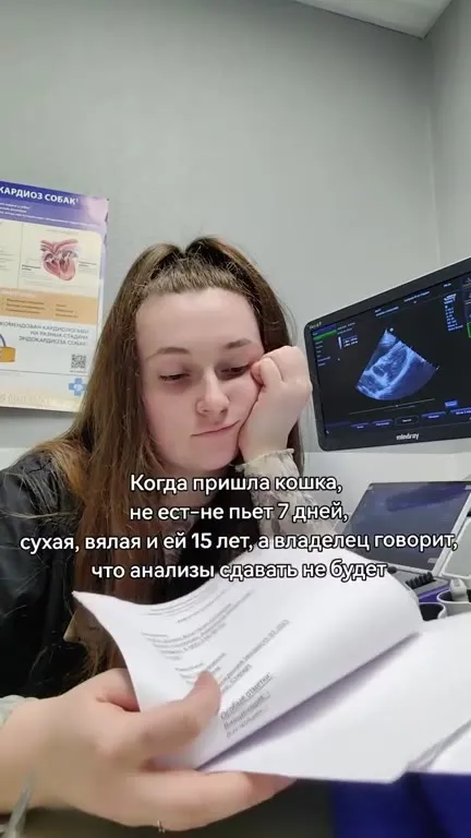 Владелец отказался от анализов