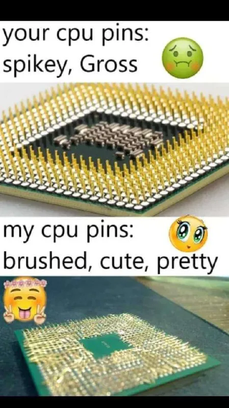 Your CPU Pins vs My CPU Pins