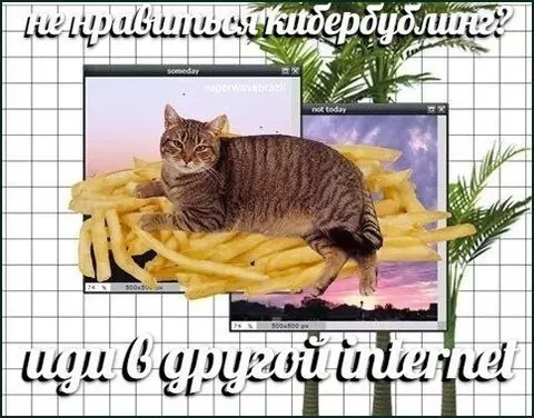 Иди в другой интернет