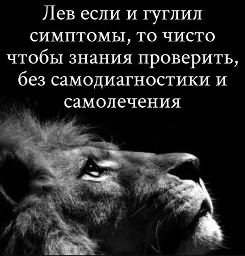 Лев проверяет симптомы в гугле