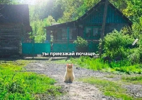 Ты приезжай почаще