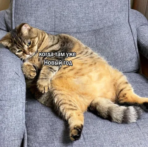 Когда уже Новый год