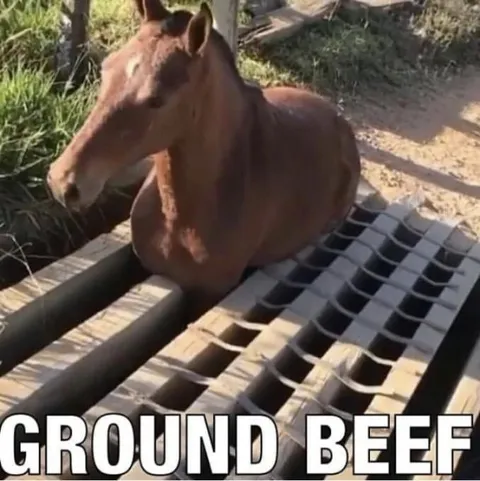 Ground Beef Horse