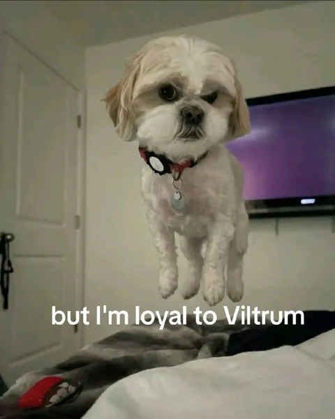 Loyal to Viltrum