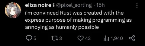 Rust Makes Programming Annoying