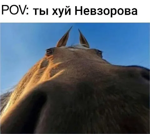 Ты хуй Невзорова