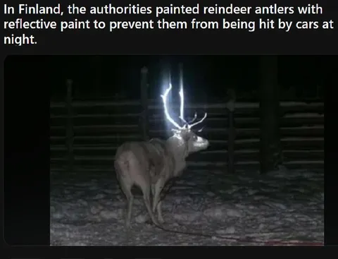 Reflective Antler Reindeer