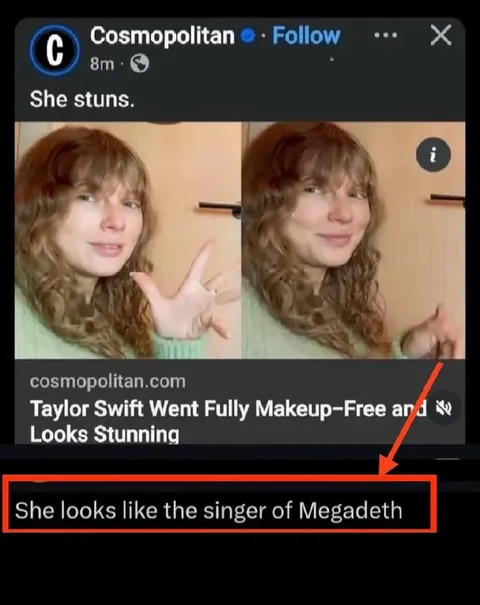 Taylor Swift Looks Like Megadeth