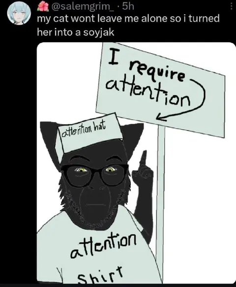 Cat Turned Into an Attention Soyjak