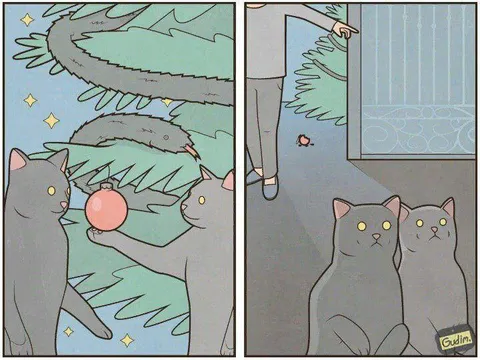 Коты наблюдают за ёлкой