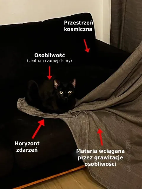 Kot jako czarna dziura