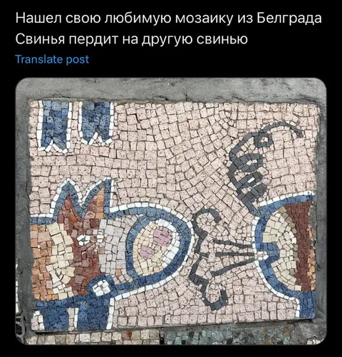 Свинья пердит на свинью
