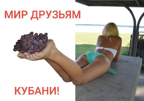 Мир друзьям, Кубани — виноград пятками