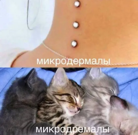 Микродремалы после тяжёлого дня