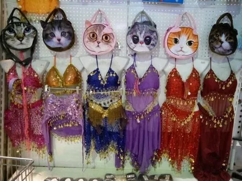 Кошки на восточном базаре