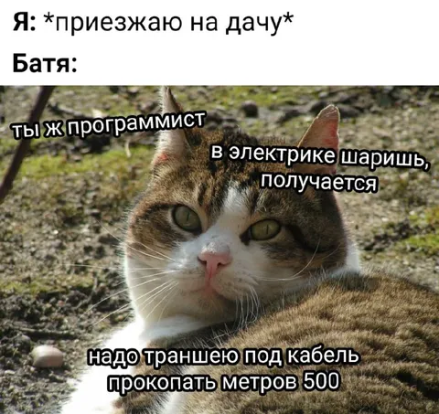 Программист на даче