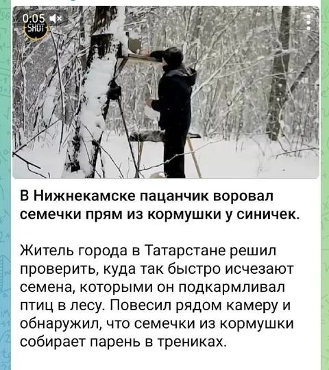 Парень ворует семечки у синичек