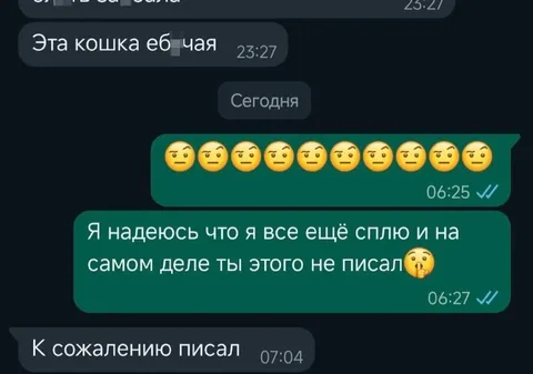 К сожалению писал