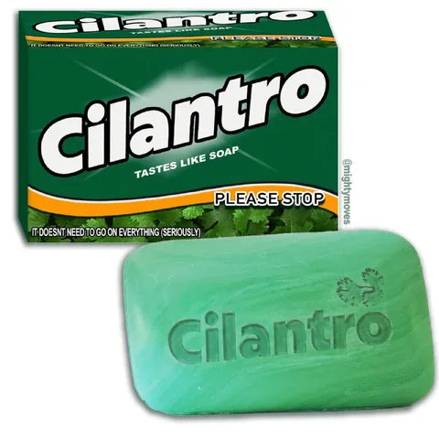 Cilantro Tastes Like Soap
