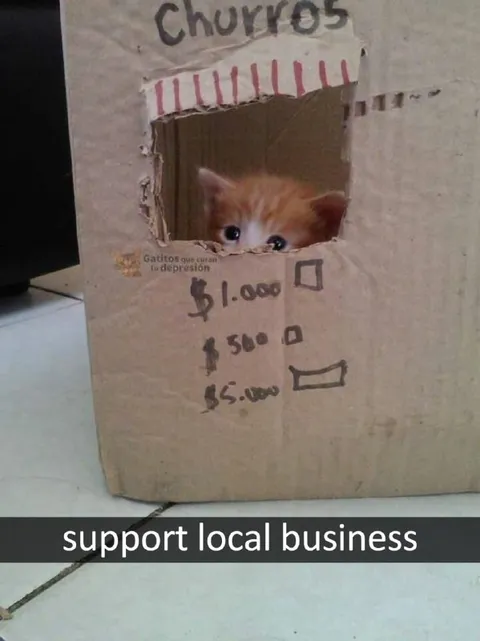 Gatito vende churros