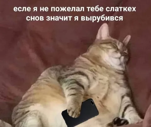 Если не пожелал сладких снов