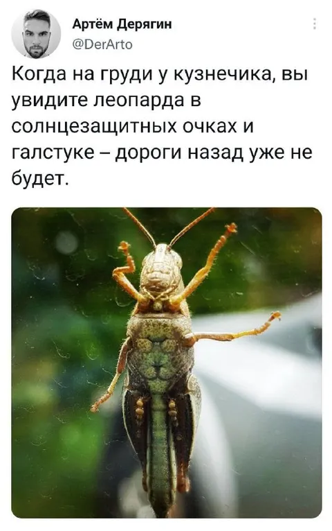 Кузнечик в солнечных очках