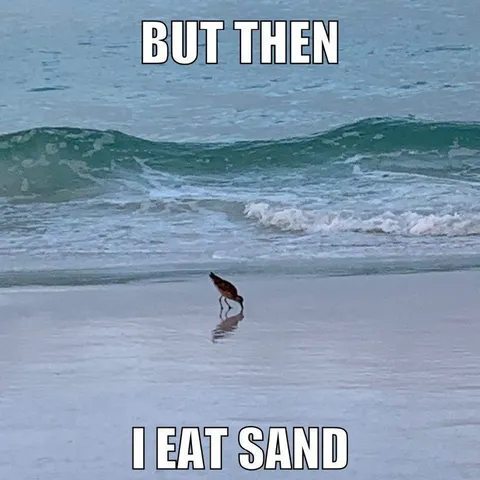 But Then I Eat Sand