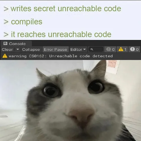 Cat Sees Unreachable Code