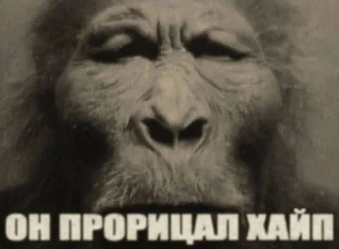 Он прощал хайп