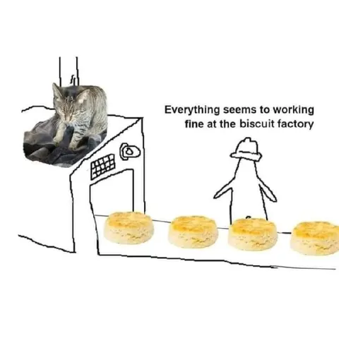 Cat Runs the Biscuit Factory